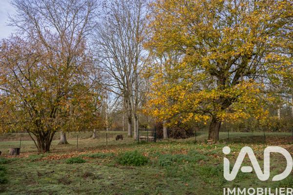 Maison à vendre 8 pièces 247 m² Bergères-lès-Vertus