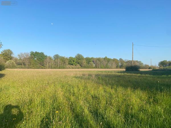 Maison à restaurer à vendre à Château-la-Vallière dans l'Indre-et-Loire (37330), ref :