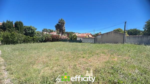 Terrain
        
        - 600 m² Exclusivité 325 000 € *