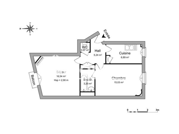 Location Appartement 2 pièces 47.87 m² - 84 RUE CHARLES III Nancy 54000