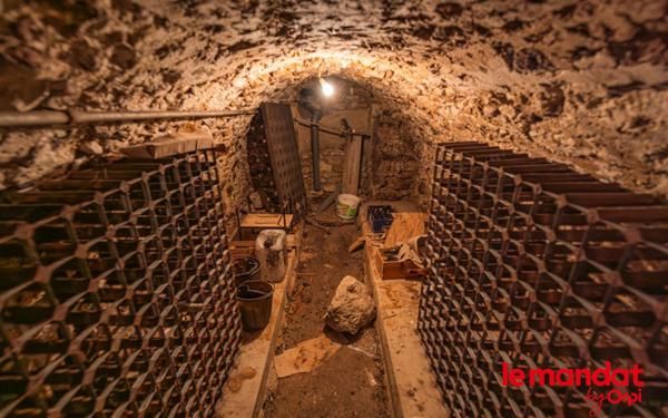 Maison à vendre    9 pièces •  Chouilly