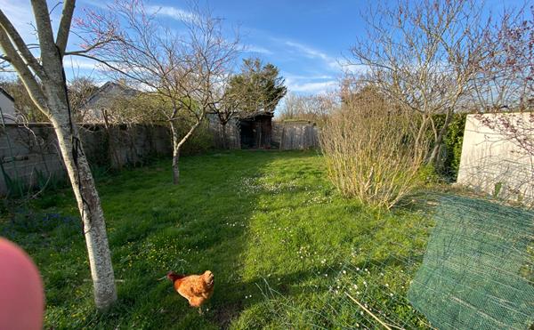 Maison Brissac Loire Aubance 5 pièce(s)