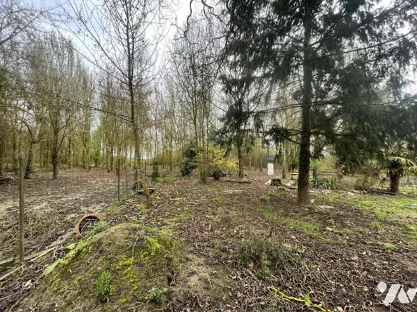 Longère à renover avec grand terrain de plus d'un hectare 