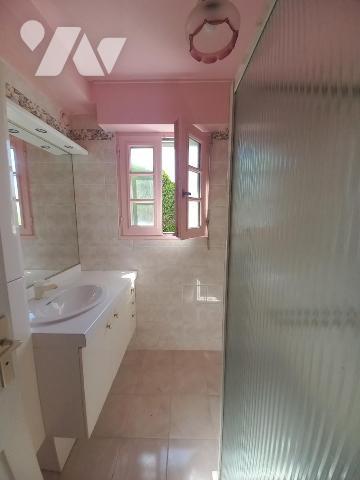 Grande maison plein centre