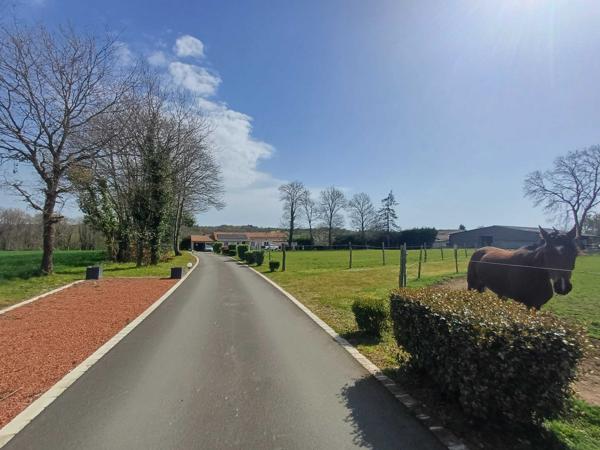 PROPRIETE EQUESTRE - 6 HECTARES - PISCINE - 8 BOXES CHEVAUX