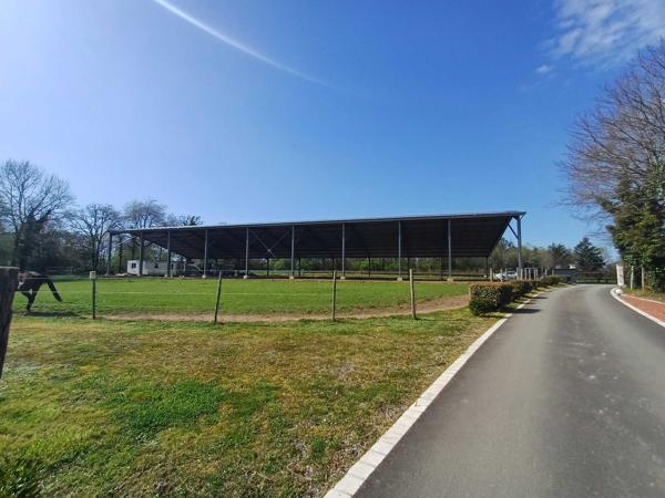 PROPRIETE EQUESTRE - 6 HECTARES - PISCINE - 8 BOXES CHEVAUX