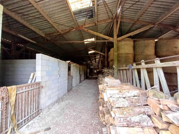 PROPRIETE EQUESTRE - 6 HECTARES - PISCINE - 8 BOXES CHEVAUX