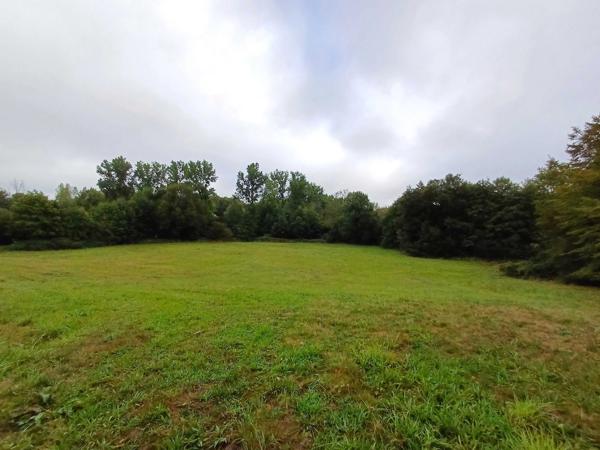 PROPRIETE EQUESTRE - 6 HECTARES - PISCINE - 8 BOXES CHEVAUX