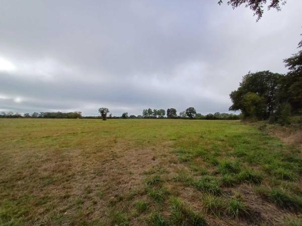 PROPRIETE EQUESTRE - 6 HECTARES - PISCINE - 8 BOXES CHEVAUX