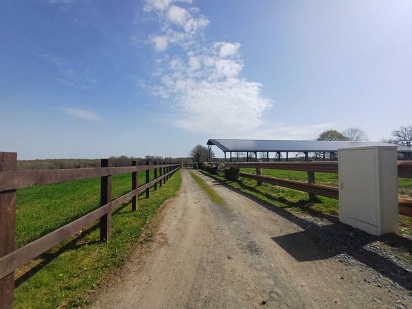 PROPRIETE EQUESTRE - 6 HECTARES - PISCINE - 8 BOXES CHEVAUX