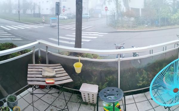 Appartement à louer    1 pièce •  Strasbourg