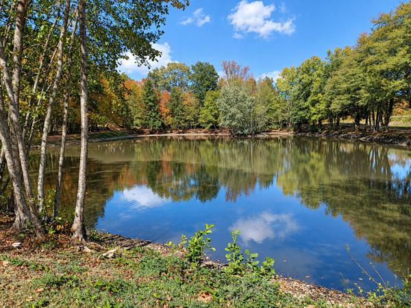 Lacs à vendre à La Cellette (23350) - Creuse