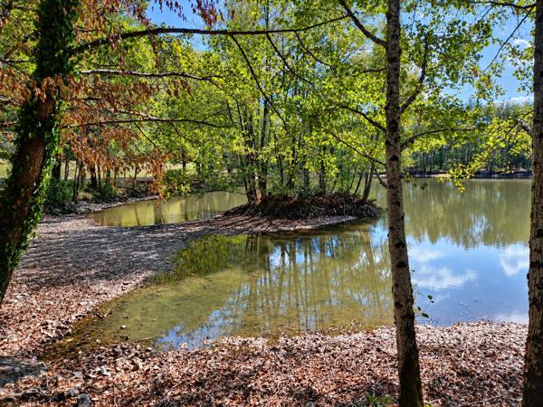 Lacs à vendre à La Cellette (23350) - Creuse