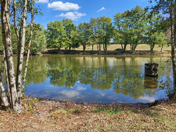 Lacs à vendre à La Cellette (23350) - Creuse