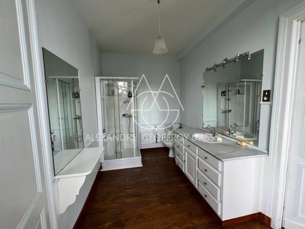 Château XIX° à vendre dans la Vienne à 2h de Paris.