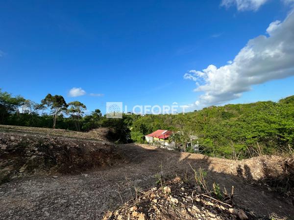 Achat terrain Le Moule - 1020 m² - 150 000 €