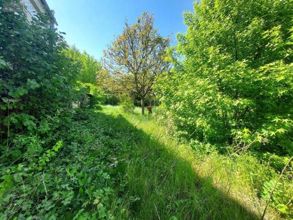 Maison à vendre à Châlette-sur-Loing dans le Loiret (45120), ref : 45052-1553
