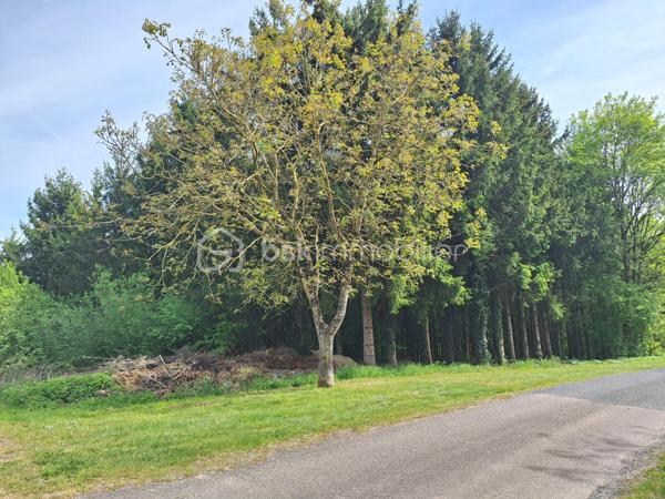 Terrain de loisirs de 4 240 m²