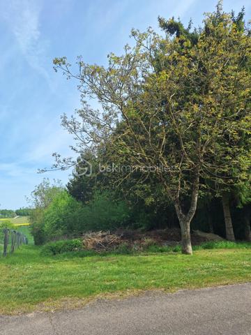 Terrain de loisirs de 4 240 m²