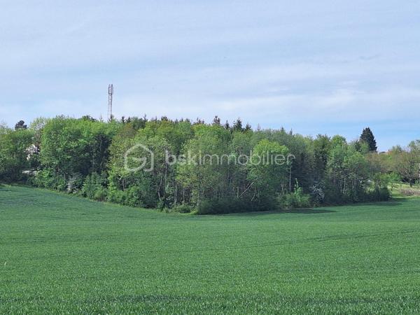 Terrain de loisirs de 4 240 m²
