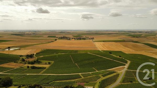 Maison à vendre  7 pièces - 155 m2 SEZANNE - 51