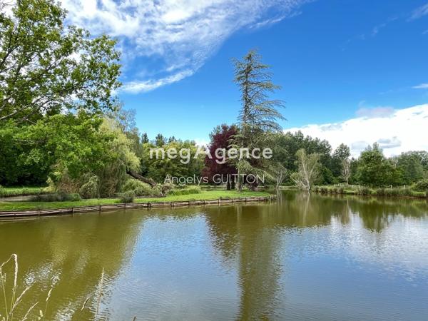 Terrain à Neuvillalais, 72240 - 9848m²
