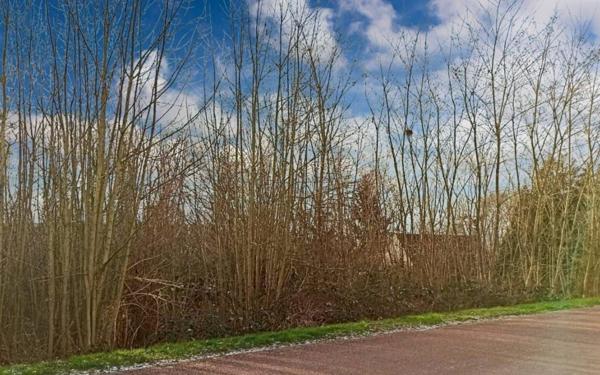 Terrain à vendre    Montreuil-aux-Lions