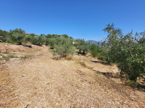 Terrain - 3964 m² Exclusivité efficity