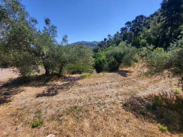 Terrain - 3964 m² Exclusivité efficity