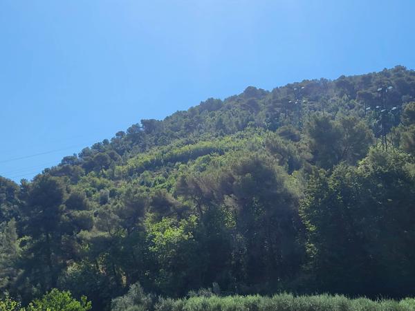 Terrain - 3964 m² Exclusivité efficity