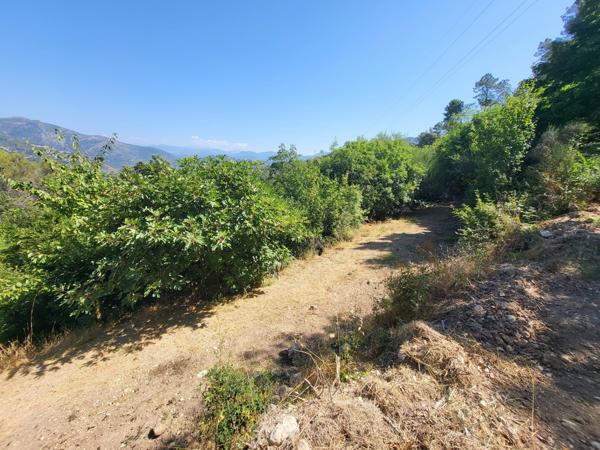 Terrain - 3964 m² Exclusivité efficity