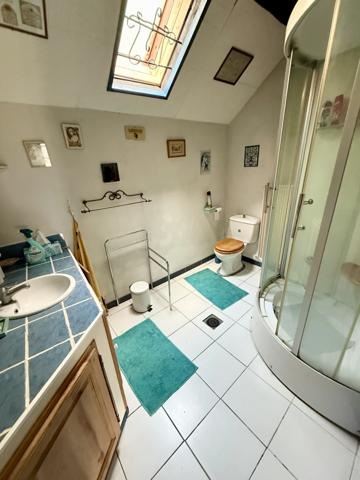 Saint-Martin-du-Tertre (89100) Maison pleine de charme avec beau terrain à 5min de Sens