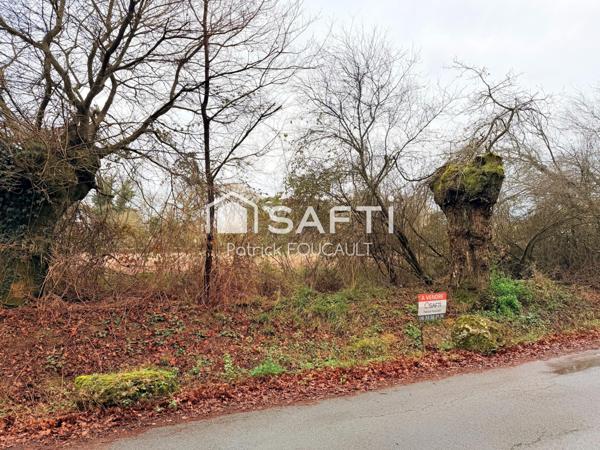 Terrain 11077m2 dont 6647m2 constructibles