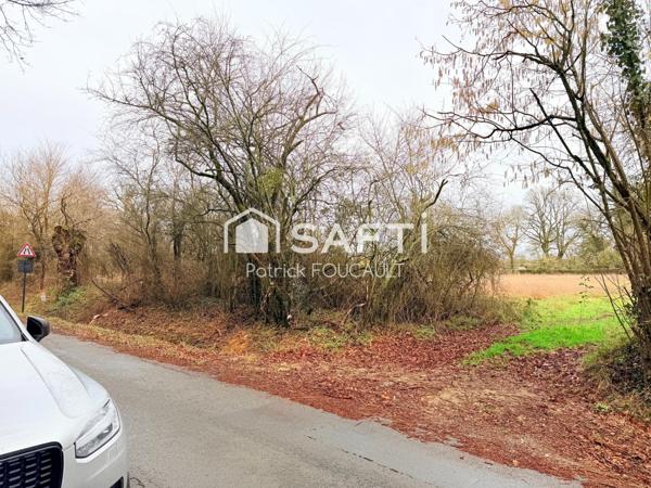Terrain 11077m2 dont 6647m2 constructibles