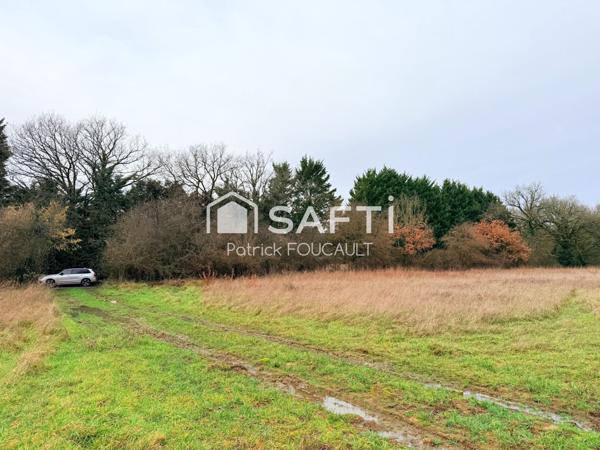 Terrain 11077m2 dont 6647m2 constructibles