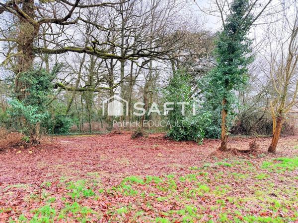 Terrain 11077m2 dont 6647m2 constructibles