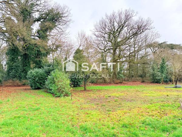 Terrain 11077m2 dont 6647m2 constructibles