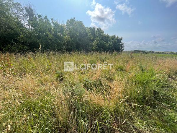 Achat terrain Billiers - 447 m² - 170 400 €