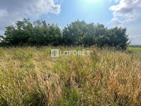 Achat terrain Billiers - 447 m² - 170 400 €
