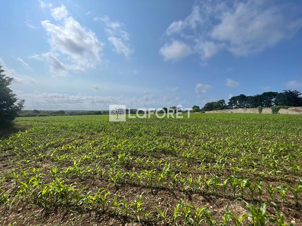 Achat terrain Billiers - 447 m² - 170 400 €