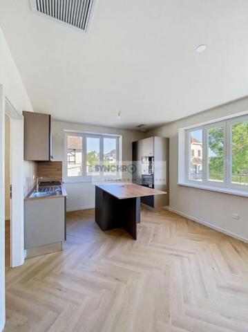 Immeuble à vendre à Haguenau (67500)