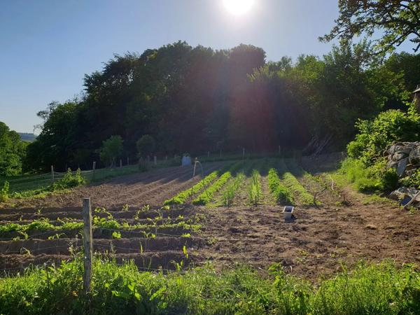 Belle ferme située dans une campagne vallonnée avec un gîte et 2 dômes géodésiques