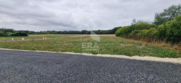 MEDIS - TERRAIN VIABILISE lotissement - LIBRE DE CONSTRUCTEUR