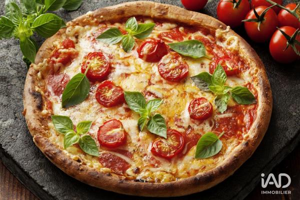 Pizzeria à vendre 100 m² La Celle-sous-Gouzon
