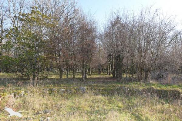 Maison à vendre |  Valaire |  16 pièces | 497 m²