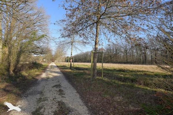 Maison à vendre |  Valaire |  16 pièces | 497 m²