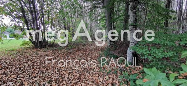 Terrain à LE CHASTANG, 19190 - 3832m²