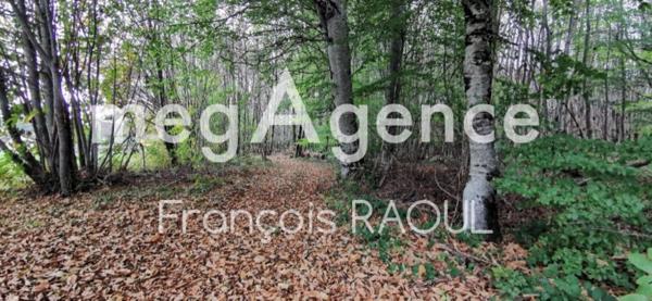 Terrain à LE CHASTANG, 19190 - 3832m²