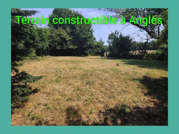 Vente / Terrain constructible à Anglès (81260)
