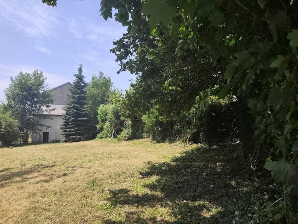 Vente / Terrain constructible à Anglès (81260)